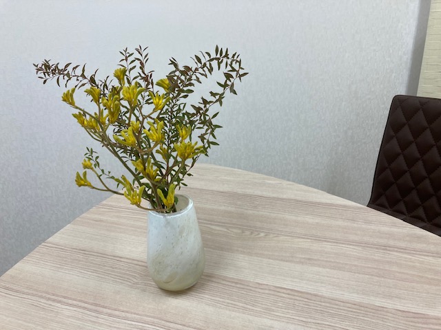 飾ってみました